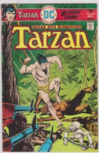 Tarzan #244