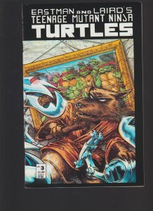 Teenage Mutant Ninja Turtles #3 - 2nd Print *Price Drop*