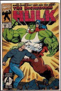 The Incredible Hulk #406 (1993) Hulk