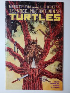 Teenage Mutant Ninja Turtles #42 (1991)