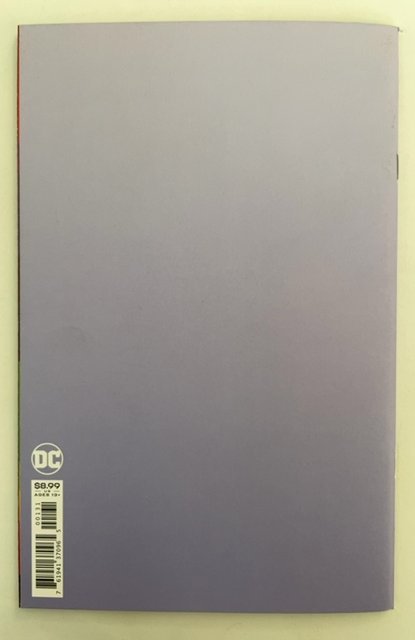 Future State: The Next Batman #1 Blank Cover (2021)