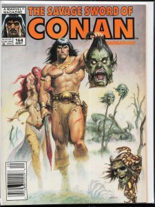 The Savage Sword of Conan #164 (1989) Conan