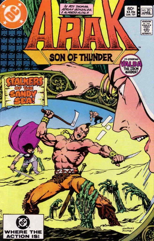 Arak Son of Thunder #20 VG; DC | low grade comic - we combine shipping 