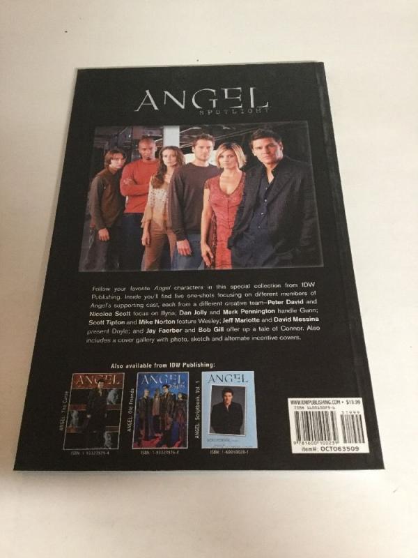 Angel Vol 3 Spotlight Tpb Nm Near Mint Idw