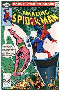 AMAZING SPIDER-MAN #211, VF, vs Sub-mariner, 1963, more in store, Bronze age