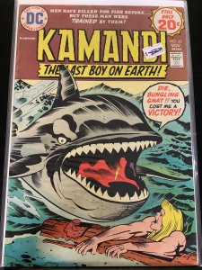 Kamandi, The Last Boy on Earth #23 (1974)