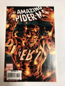 Amazing Spider-Man (2009) # 581 (NM) | Molten Man Variant