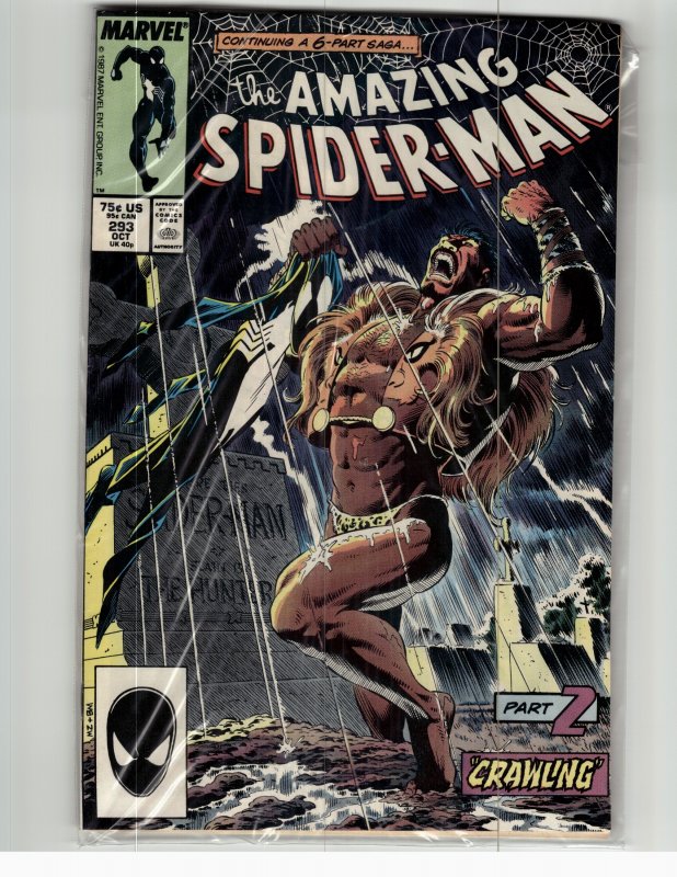 The Amazing Spider-Man #293 (1987) Spider-Man