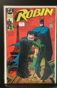 Robin #1 (1991)