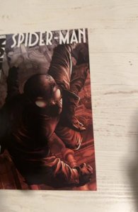 Spider-Man: Noir #2 (2009)iconic spiderman series