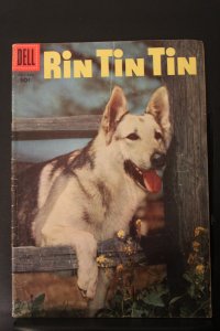 Rin Tin Tin #14 (1956) High-Grade VF/NM or better! Photo cover beauty Utah CERT!