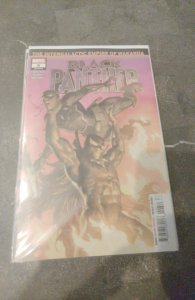 Black Panther #6 (2019)