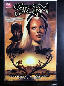 Storm #1 (2006)