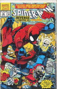 Spider-Man #23 (1992) Spider-Man