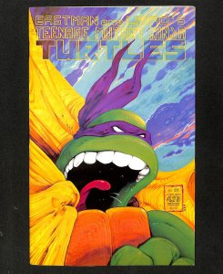 Teenage Mutant Ninja Turtles #22