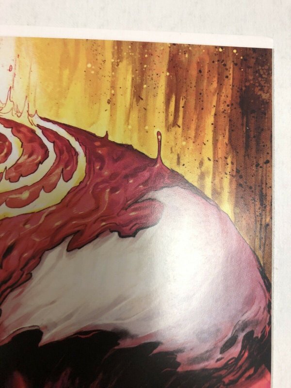 Absolute Carnage VS Deadpool  # 2 (NM) Tyler Kirkham Virgin Edition Variant CE