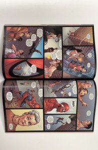 Amazing Spider-Man Family #1 (2008)