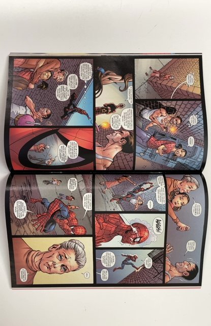 Amazing Spider-Man Family #1 (2008)