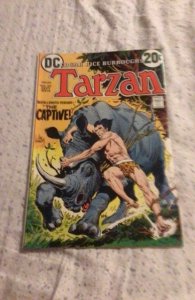 Edgar Rice Burroughs' Tarzan #212 (1972) High-Grade VF/NM “The Captive...