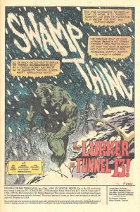 DC SPECIAL SERIES #20 (Jan1980) 8.0 VF  Wein & Wrightson!  Reprints SWAMPY 8-10