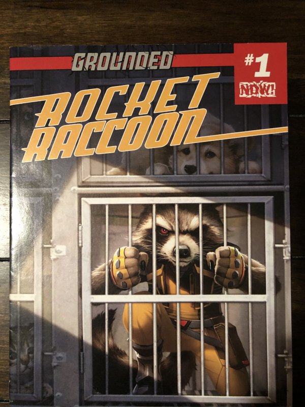 Rocket Raccoon #1