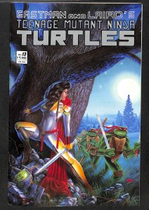 Teenage Mutant Ninja Turtles #13