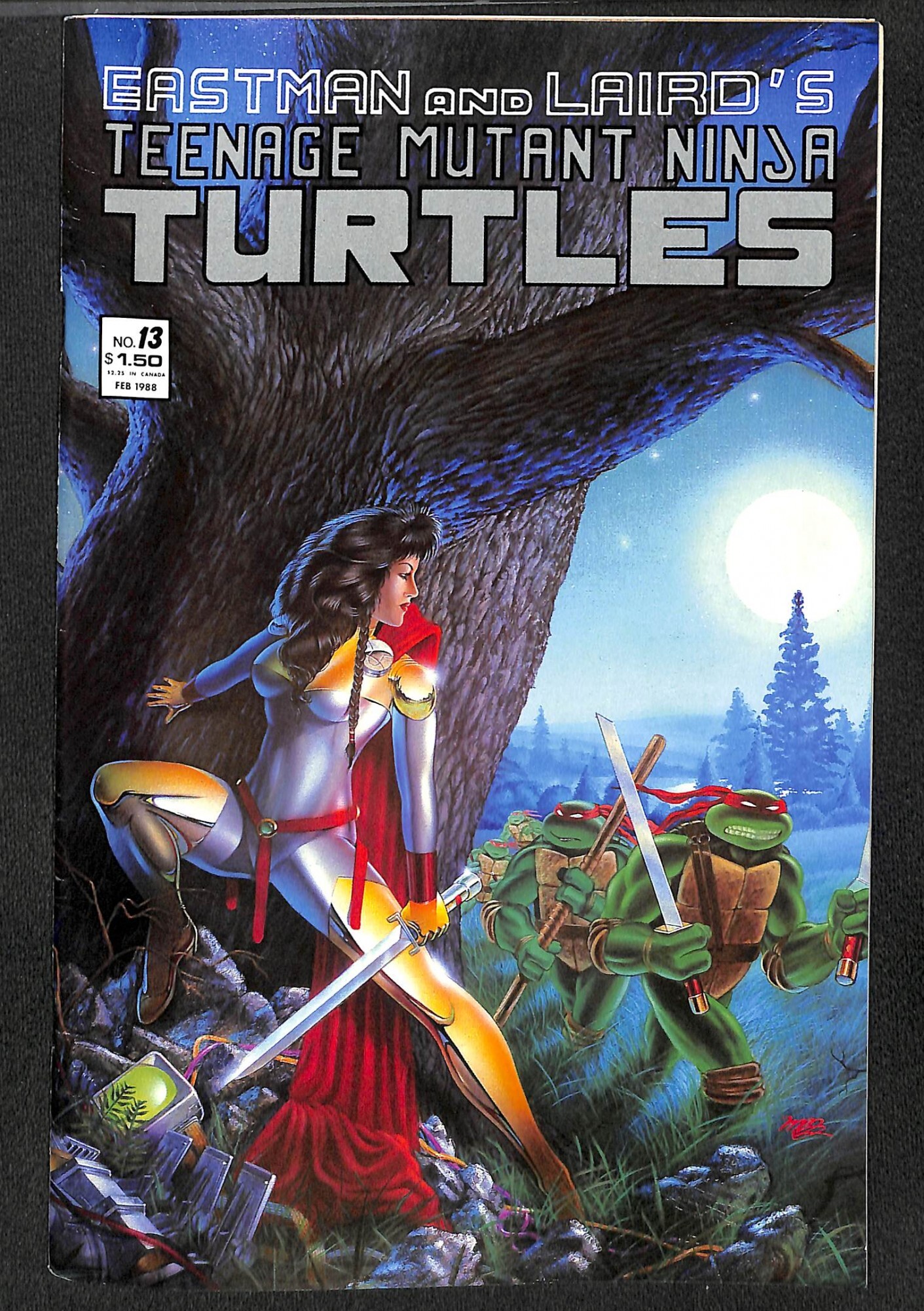 Teenage Mutant Ninja Turtles 13 Comic Books Copper Age Marvel