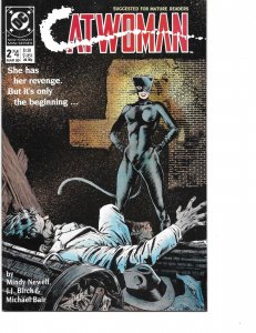 DC Comics! Catwoman! Issue #2 of 4!