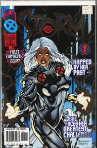 Storm #1 (1996) Storm