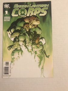 Green Lantern Corps lot of 17 various comics