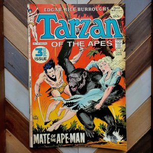 TARZAN #209, 211 (DC 1972) Last GIANT! Burroughs JOE KUBERT Covers + HAL FOSTER