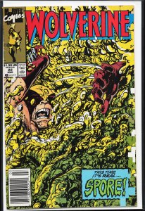 Wolverine #22 (1990) Wolverine