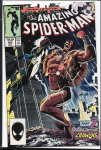 The Amazing Spider-Man #293 (1987) Spider-Man