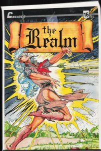 The Realm #16 (1989) Silverfawn