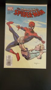 The Amazing Spider-Man #502 (2004)