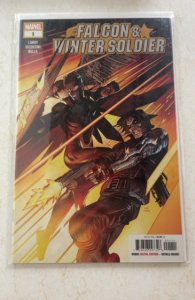 Falcon & Winter Soldier #1 (2020)