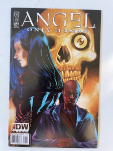 Angel: Only Human #1 - VF+ (2009)