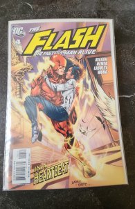 The Flazh The fastest man alive #4