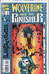 Wolverine and the Punisher: Damaging Evidence #2 (1993) Punisher