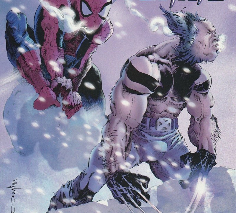 Marvel Knights: Spider-Man & Wolverine #3 (2003)