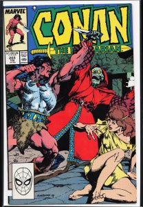 Conan the Barbarian #203 (1988) Conan