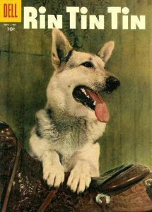 Rin Tin Tin   #16, VG+ (Stock photo)