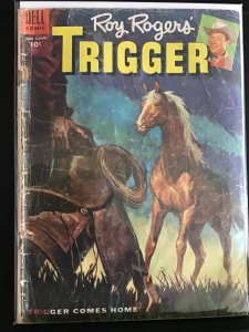 Roy Rogers' Trigger #17 (1955)