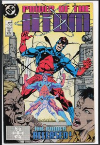 Power of the Atom #2 (1988) The Atom