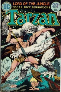Tarzan #227 DC Comics Joe Kubert VF-