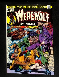 Werewolf By Night #24