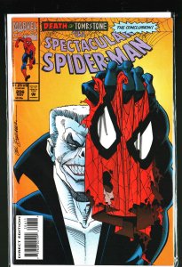 The Spectacular Spider-Man #206 (1993)