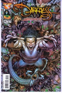 The Darkness #14 (2004)