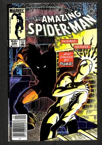 The Amazing Spider-Man #256 (1984)