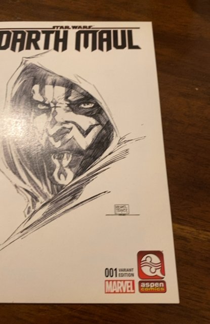 Star Wars: Darth Maul #1 Aspen Store Sketch Cover (2017)high grade